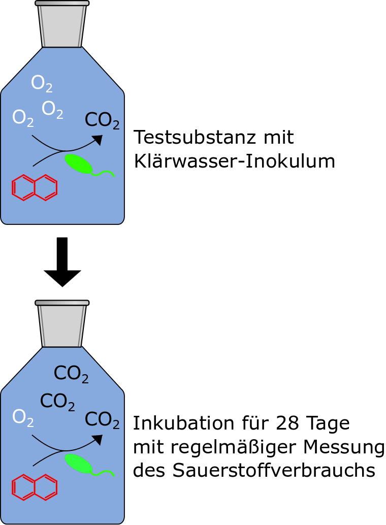 CBT deutsch