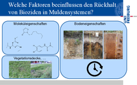 03 Vortrag AktuelleForschung Faktoren Biozidrückhalt Mulden