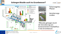 05 Vortrag Biozidauswaschung Biozide Grundwasser 2